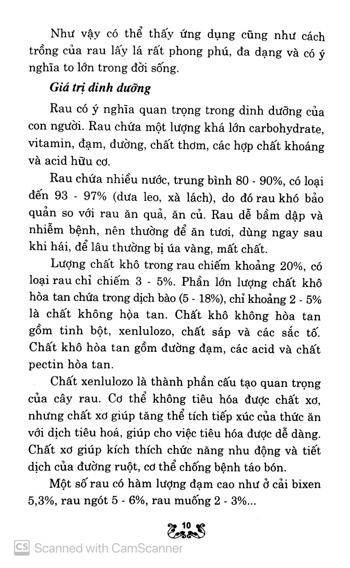 kỹ thuật trồng và chăm sóc rau lấy lá - Ảnh 7
