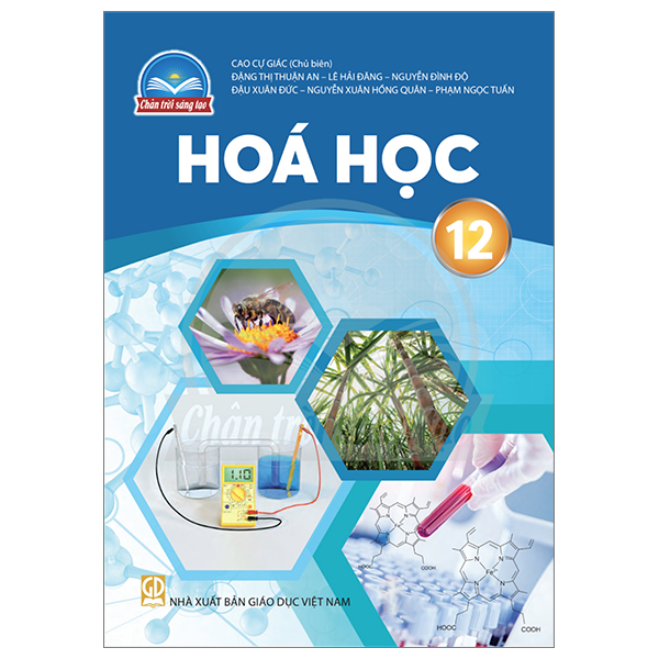 Lịch Sử 12 (Chân Trời) (Chuẩn) - Ảnh 28