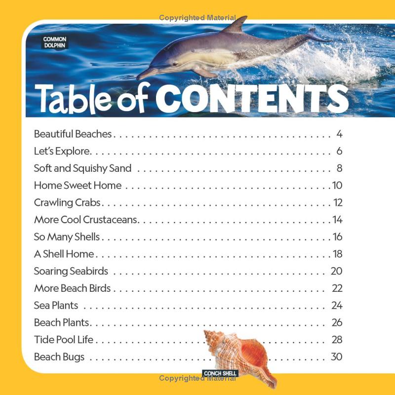 little kids first nature guide - explore the beach - Ảnh 3