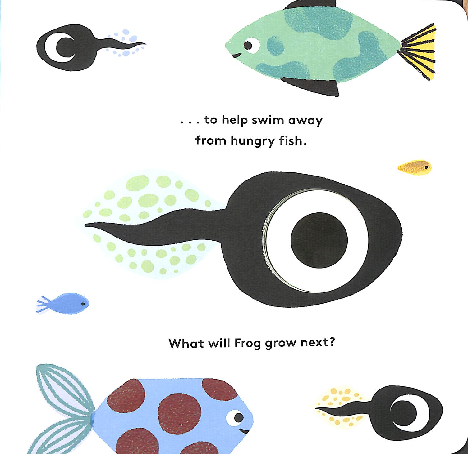 little life cycles - frog - Ảnh 7