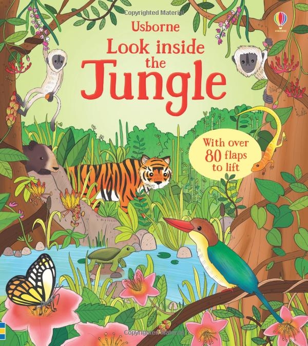 look inside the jungle - Ảnh 3