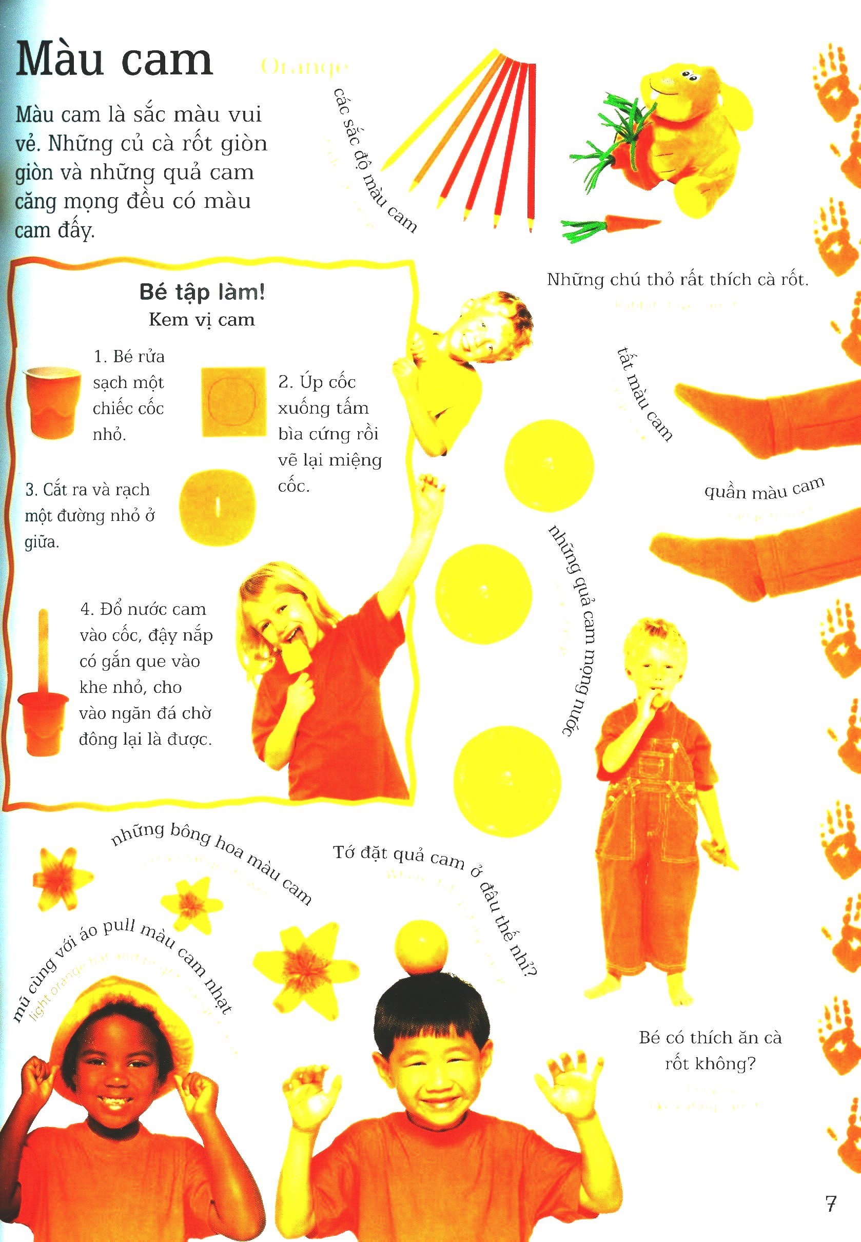 lớp học vui về màu sắc - colours - Ảnh 6