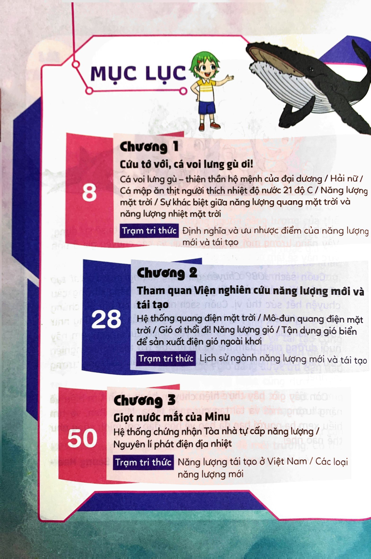 lựa chọn cho tương lai - job? - chuyên gia năng lượng mới và tái tạo - Ảnh 4