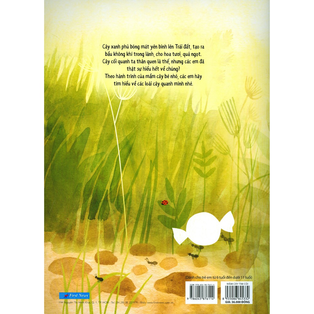 mầm cây tìm cội - nature smart for kids - Ảnh 3