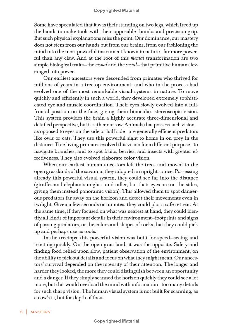 mastery - Ảnh 13