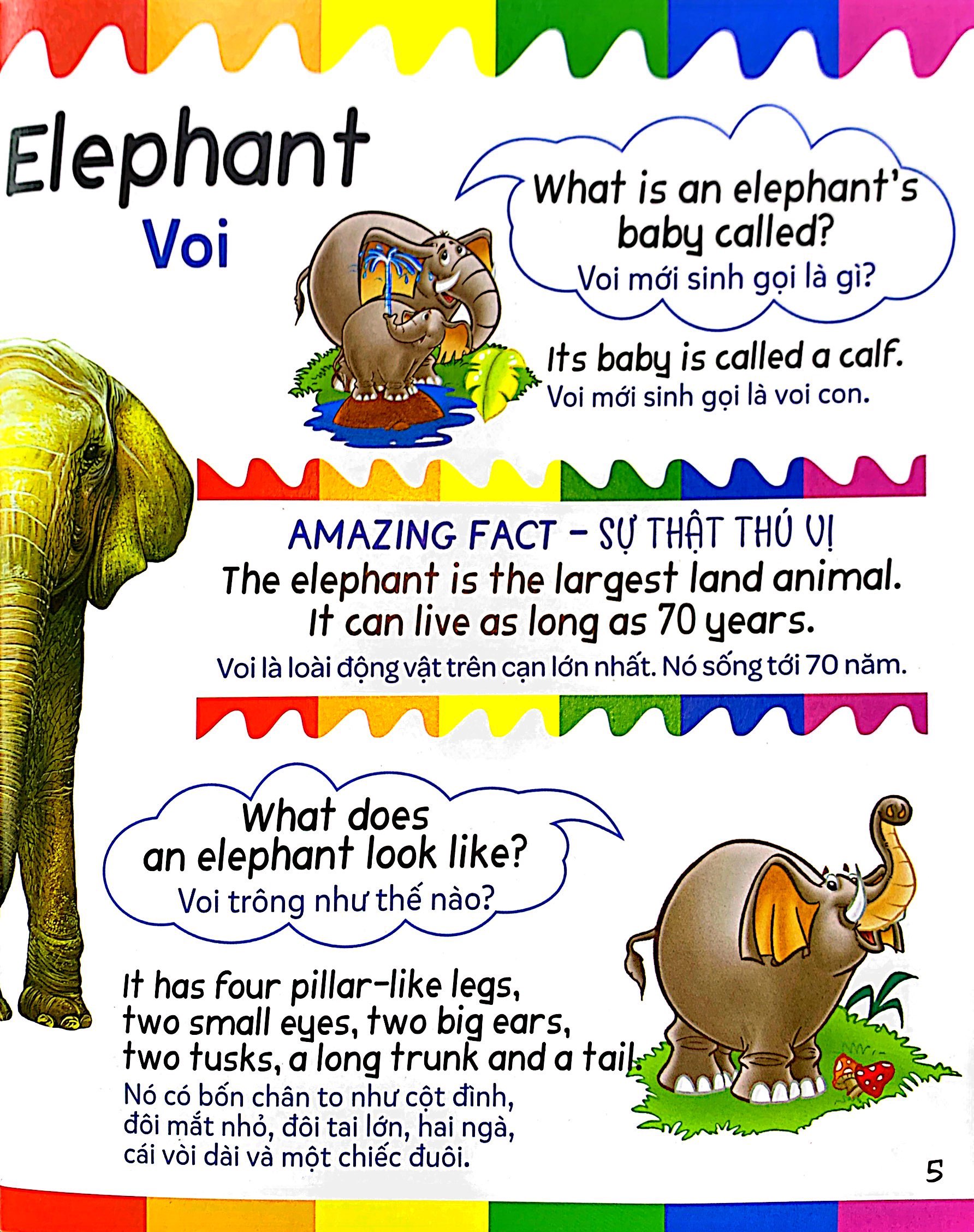 mẹ hỏi bé trả lời - song ngữ anh-việt - wild animals - động vật hoang dã (dành cho trẻ từ 2-7 tuổi) - Ảnh 6