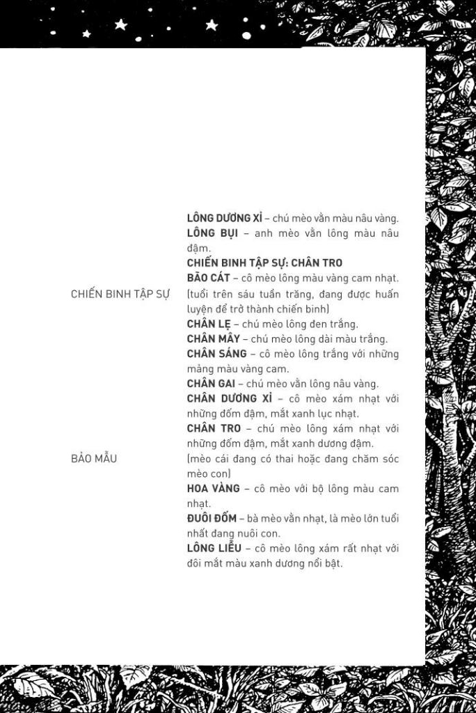mèo chiến binh - con đường hiểm nguy - Ảnh 4