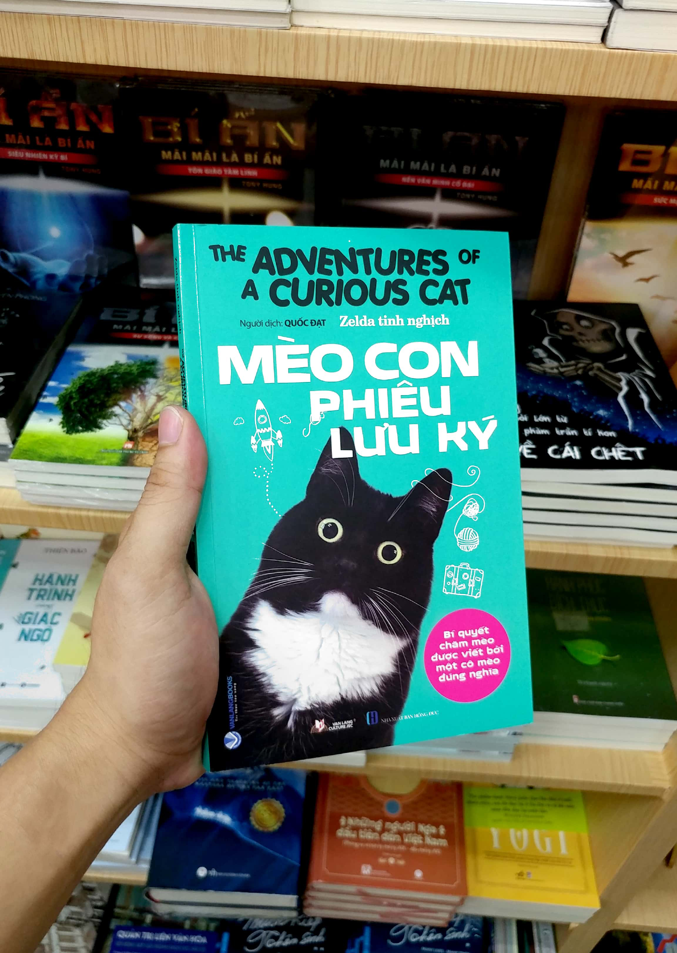 mèo con phiêu lưu ký - Ảnh 7