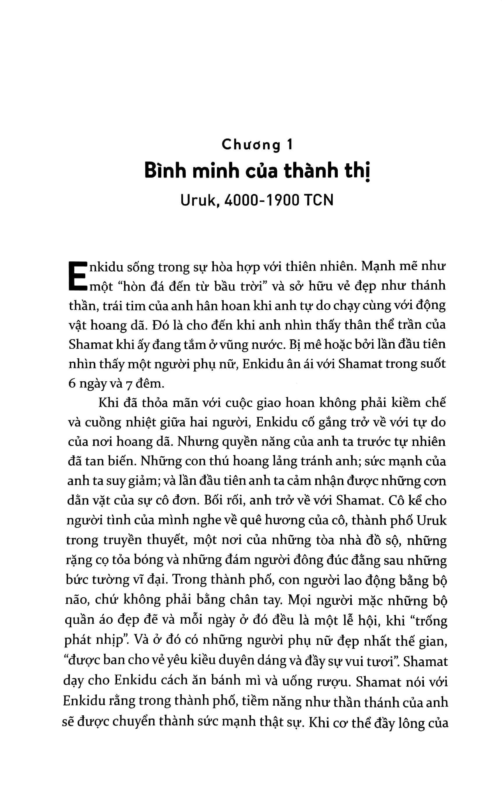 metropolis - lịch sử phát triển đô thị, phát minh lớn nhất của loài người - Ảnh 5