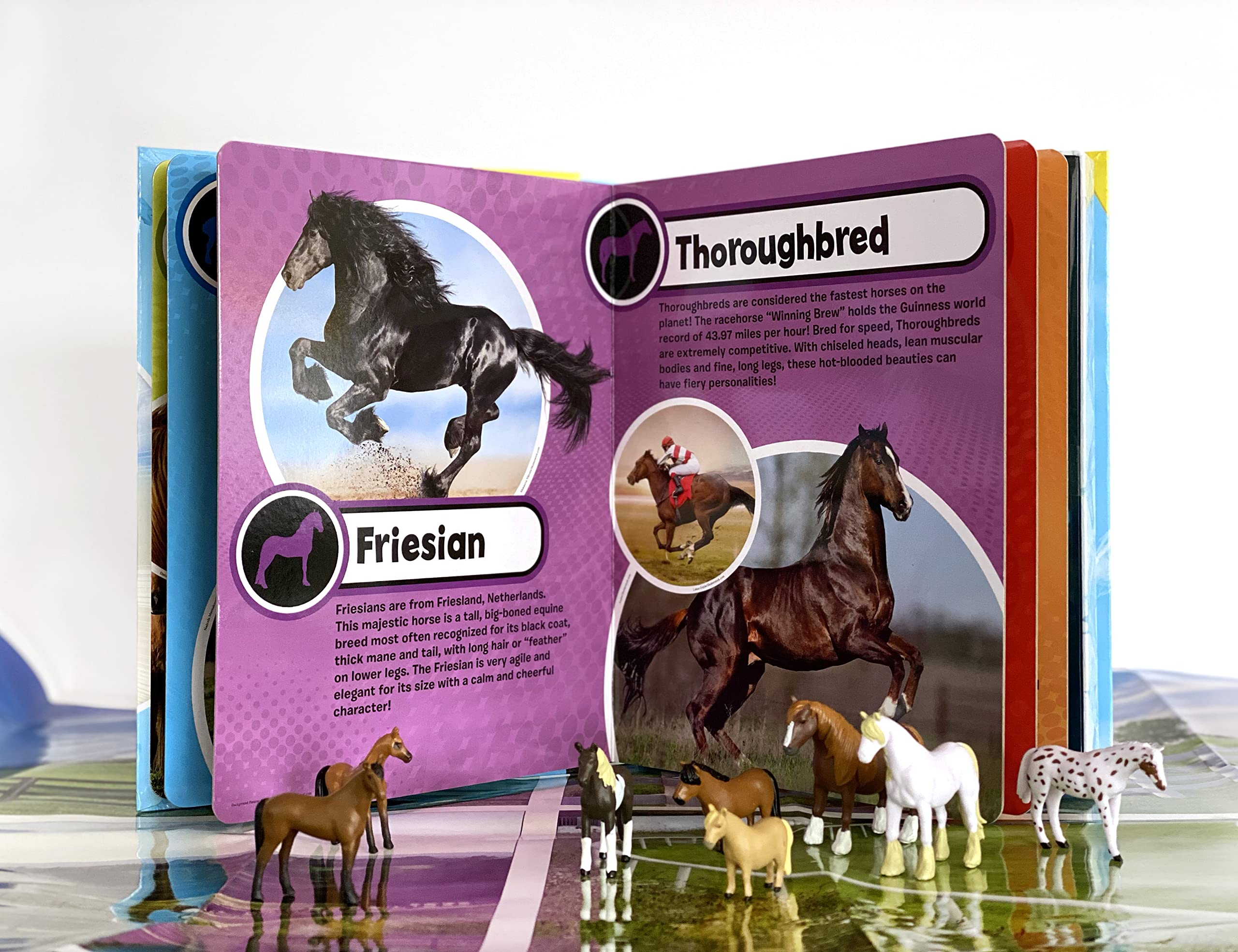 my busy books: world of horses - Ảnh 2