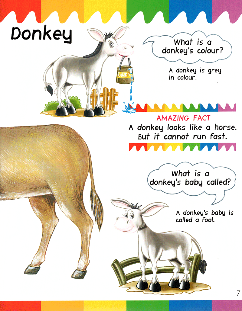 my first questions & answers - farm animals - Ảnh 8