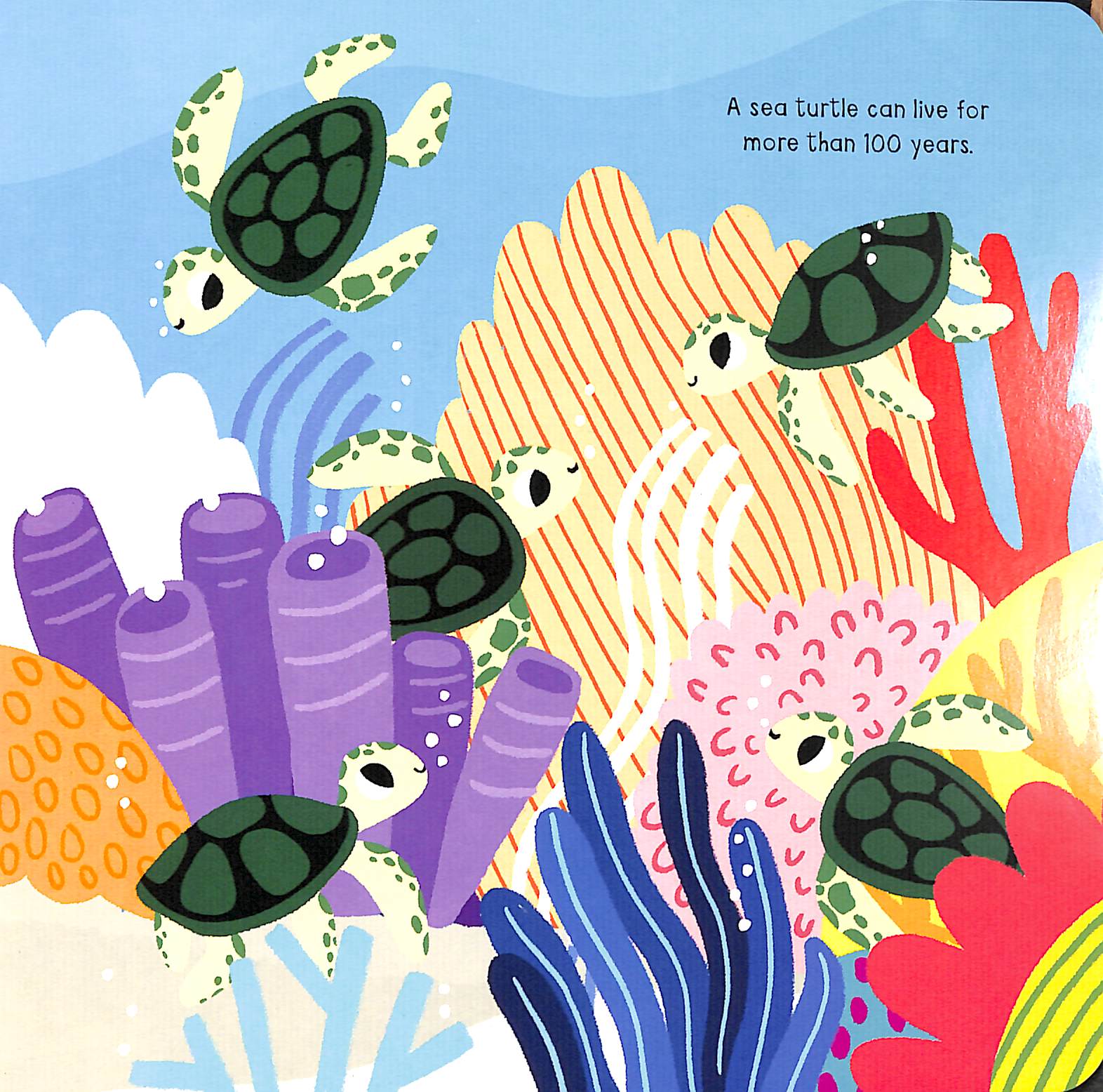 my little ocean explorer: mirror book - Ảnh 6