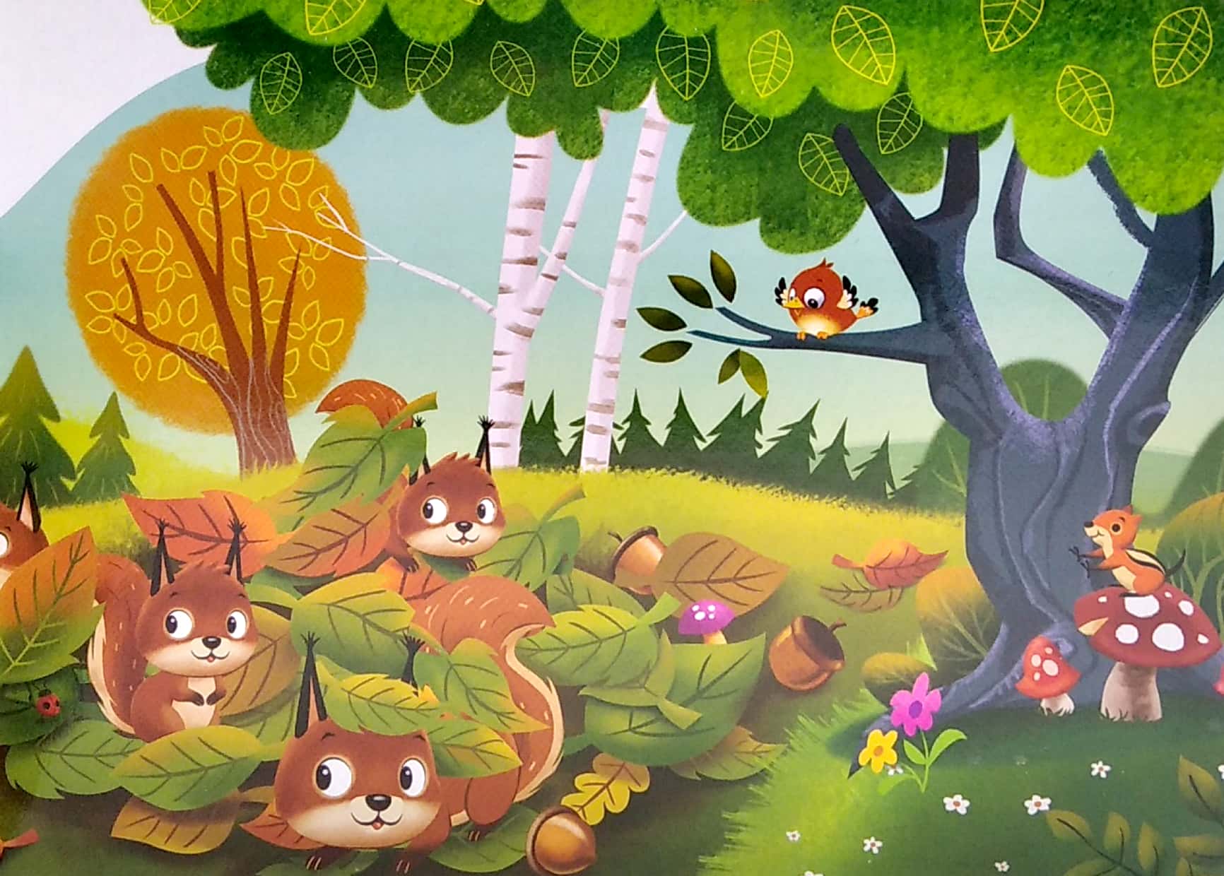 my mini busy book: friendly forest - Ảnh 23