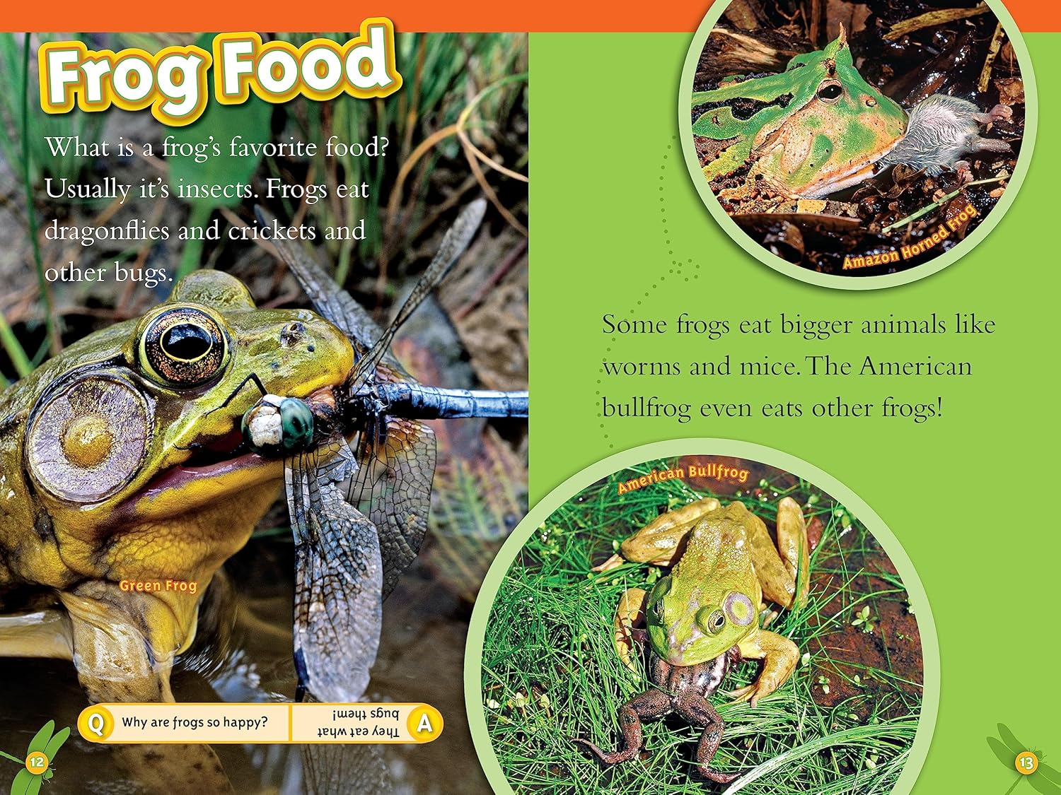national geographic readers animal all-stars collection - Ảnh 3