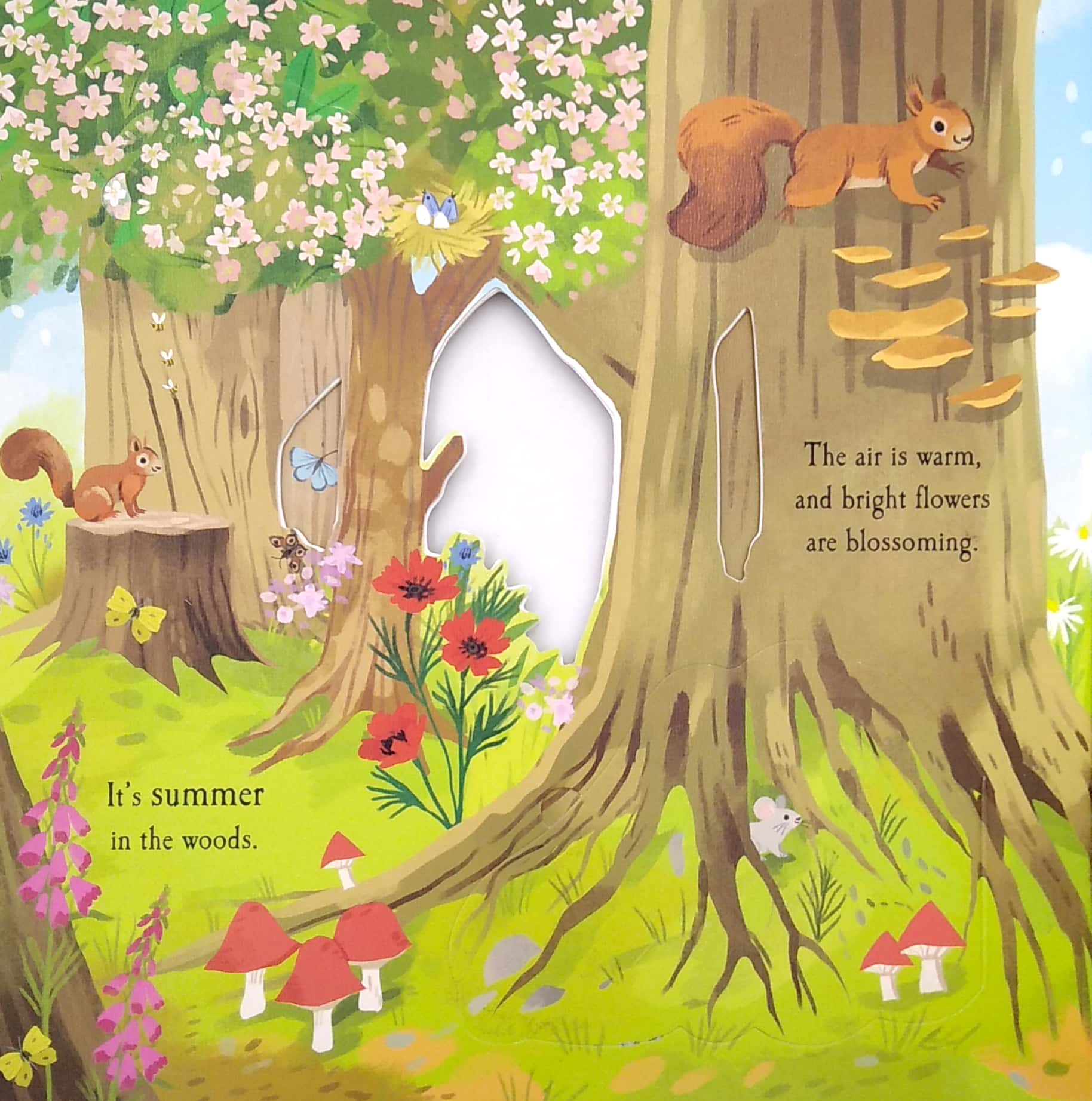 nature die-cut book - let's explore! the woods - Ảnh 9