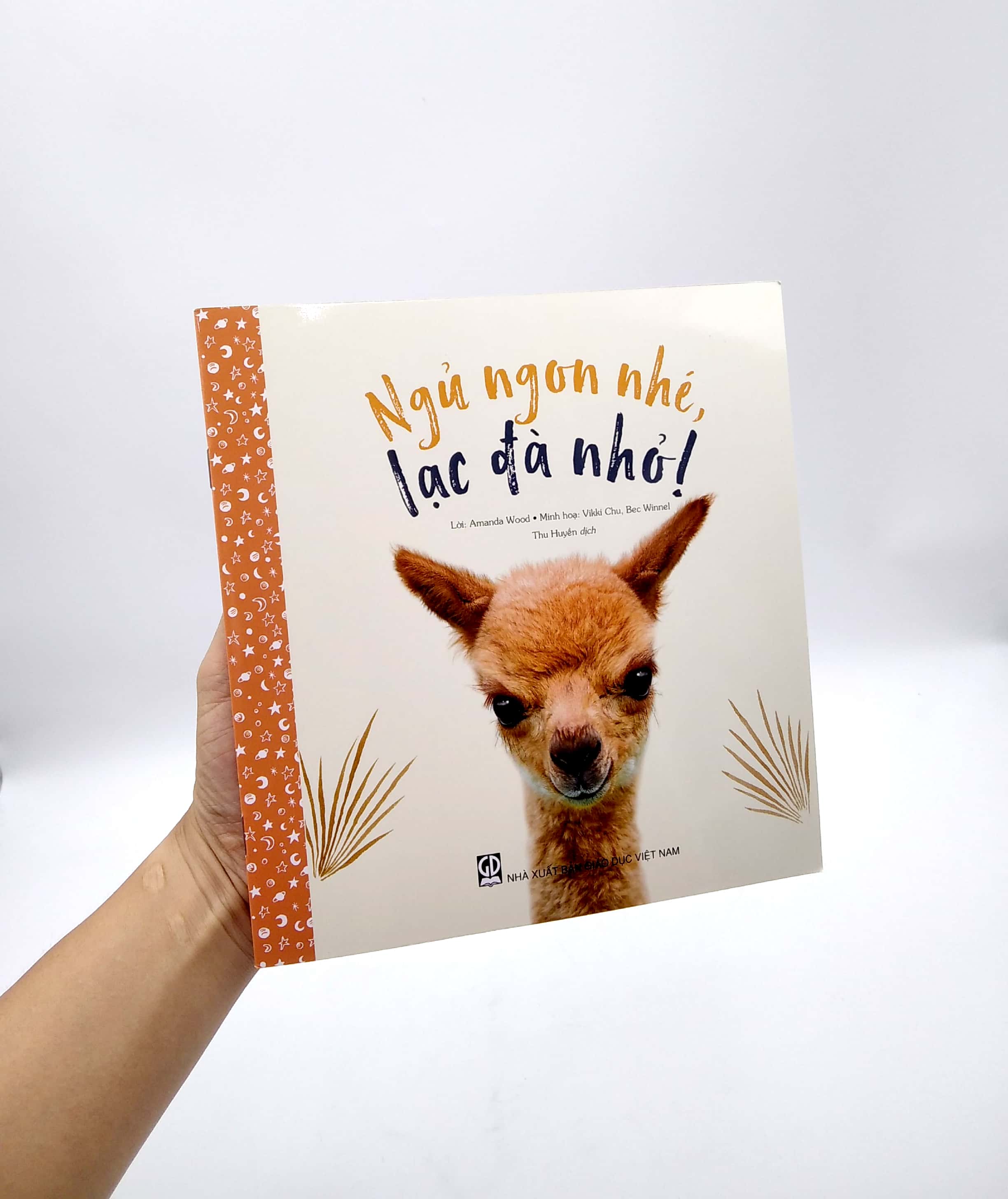 ngủ ngon nhé, lạc đà nhỏ! - Ảnh 7
