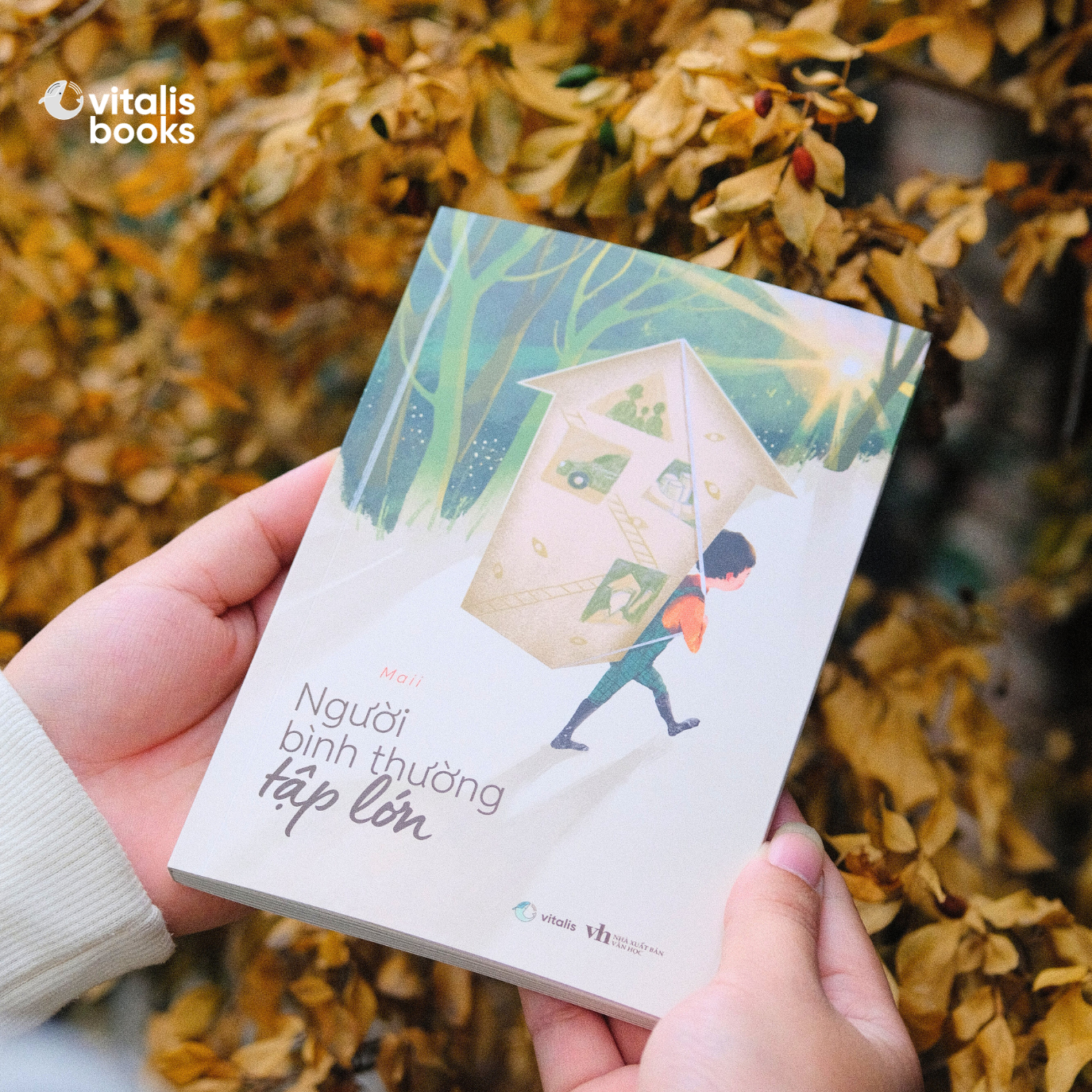 Người Bình Thường Tập Lớn - Ảnh 5