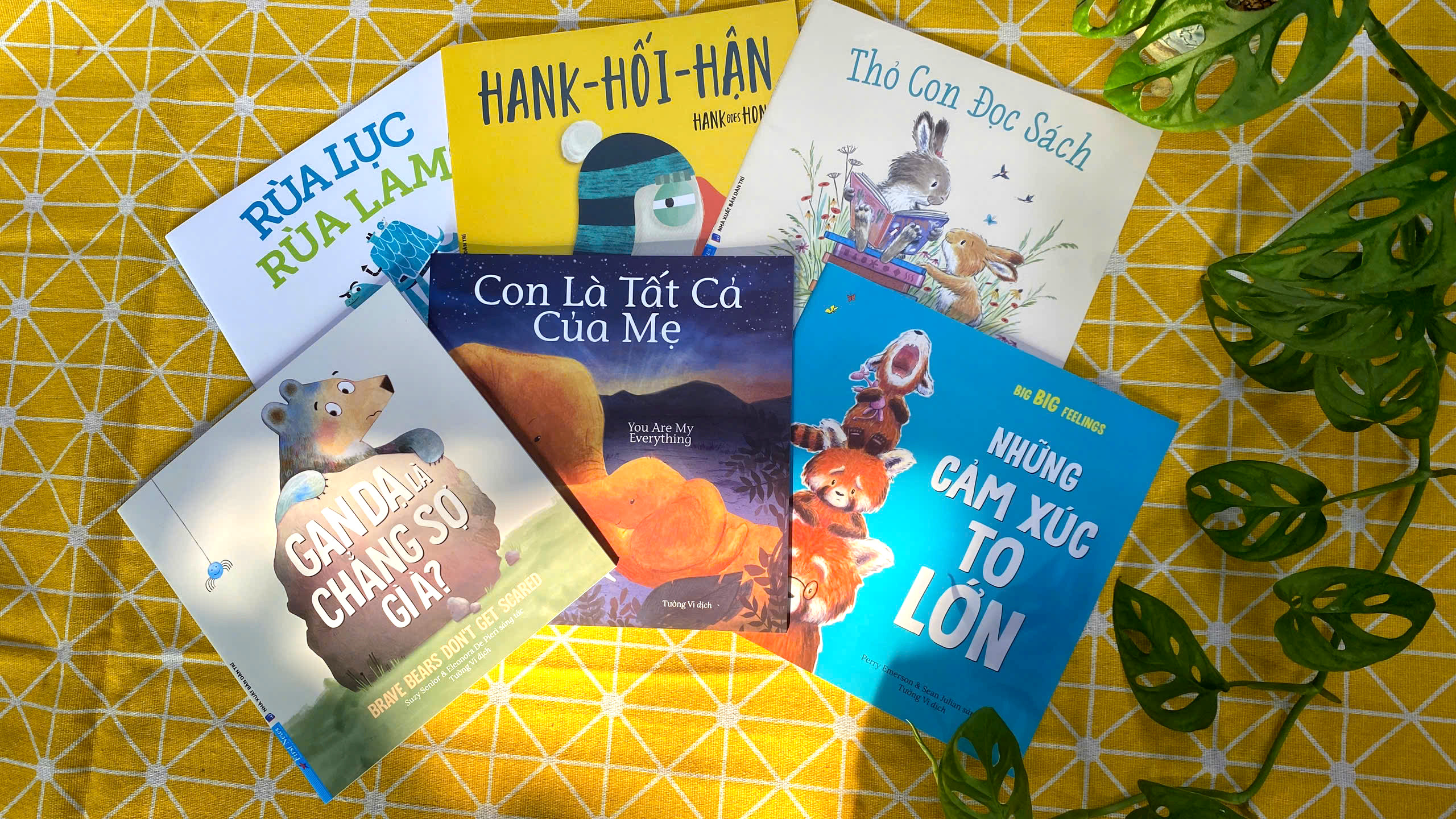 những cảm xúc to lớn - big big feeling - Ảnh 4