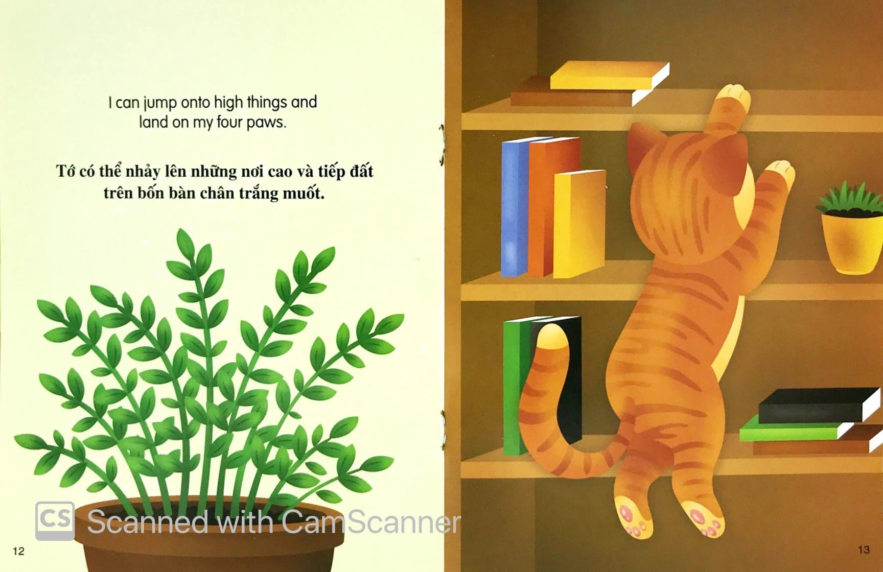 những câu chuyện về thế giới loài vật: tớ là một chú mèo - Ảnh 5