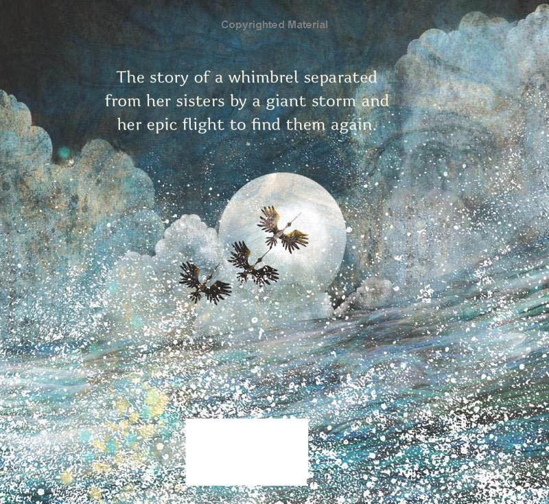 numeria and the hurricane - inspired by a true migration story - Ảnh 8