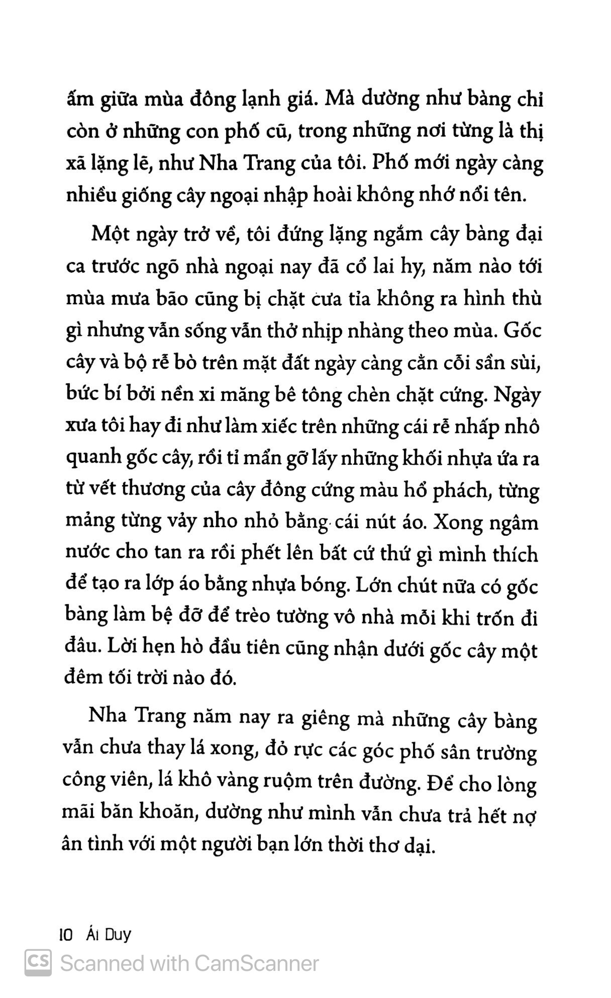 ở nha trang sóng tựa như mây - Ảnh 8