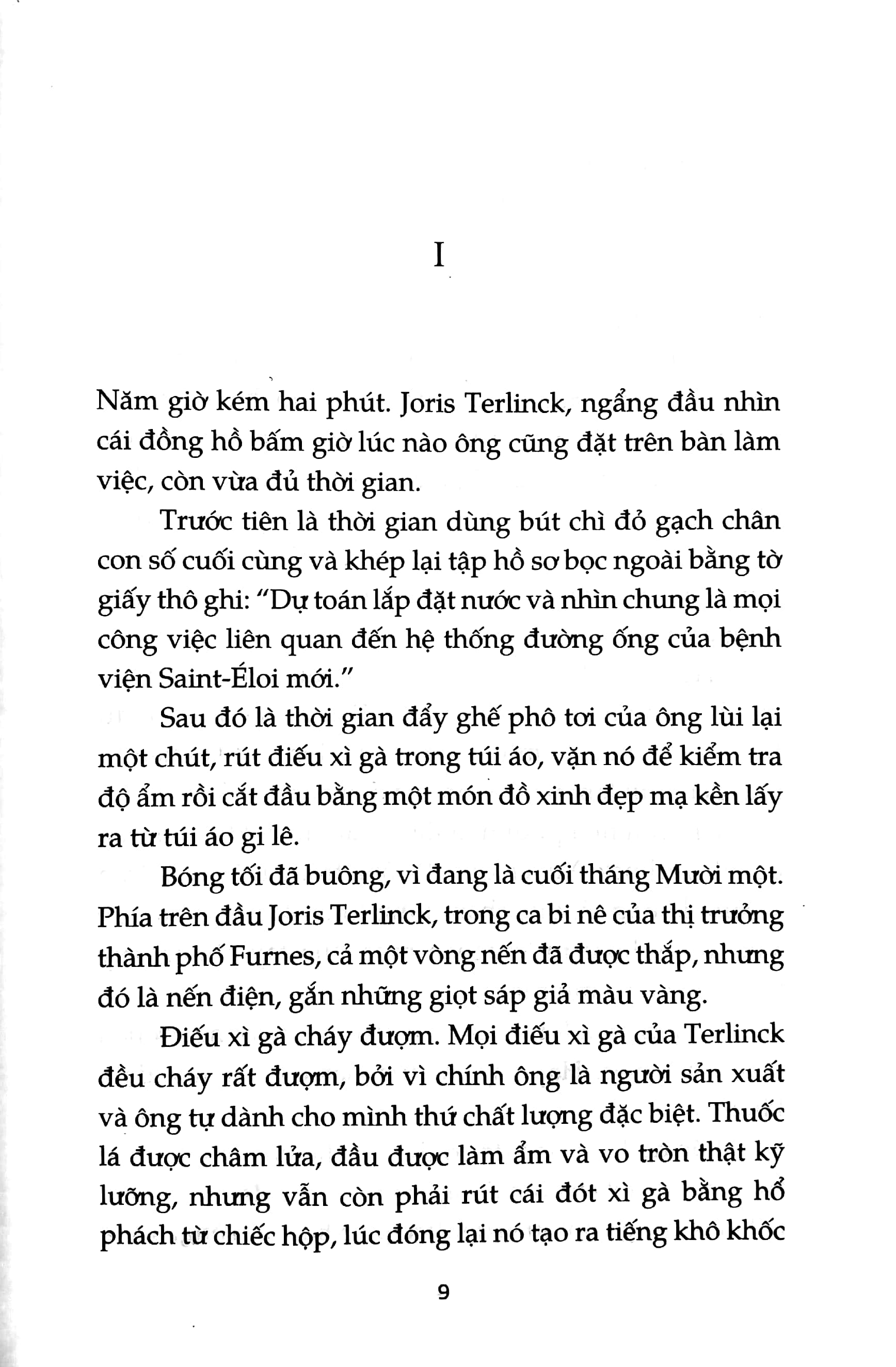 ông thị trưởng ở furnes - Ảnh 3