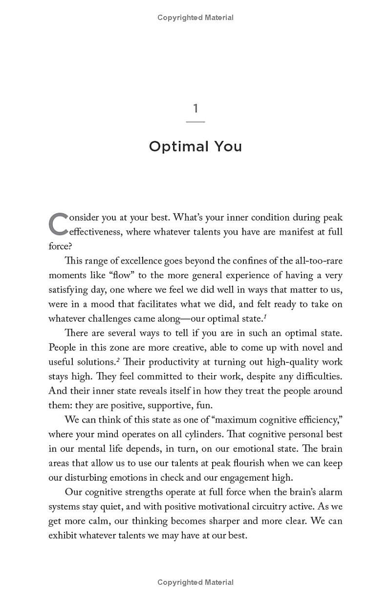 optimal - Ảnh 8