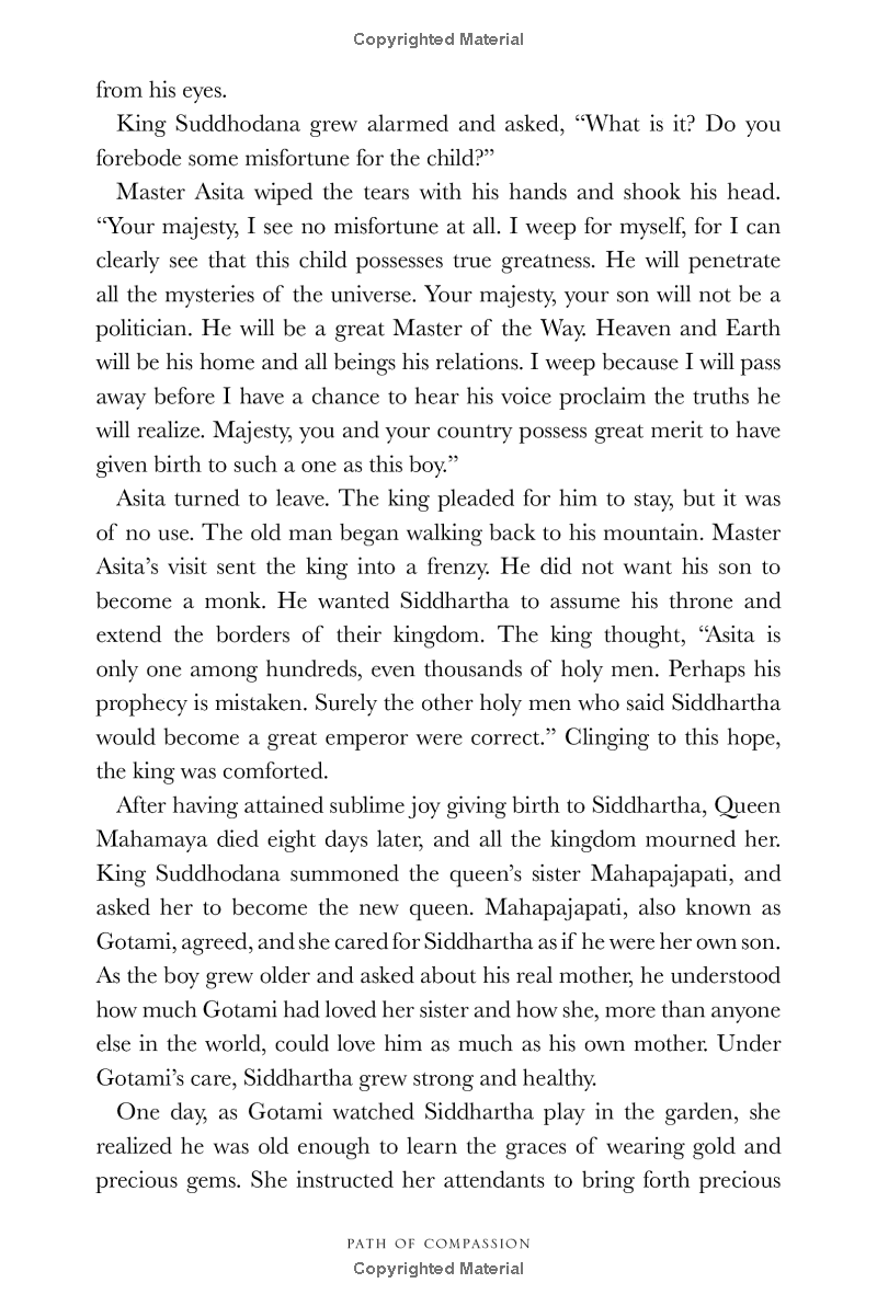 path of compassion : stories from the buddha's life - Ảnh 10