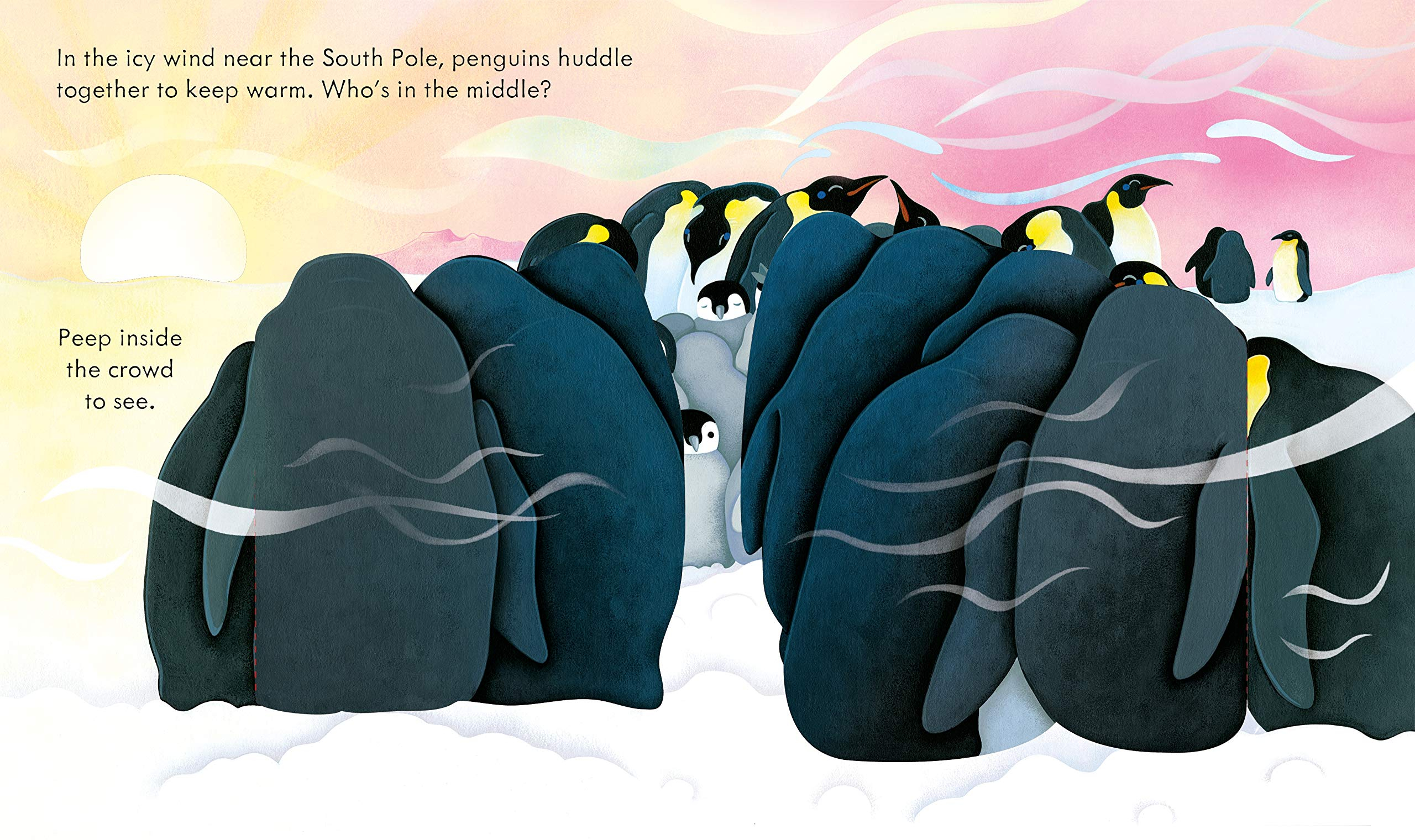 peep inside snowy places - Ảnh 4