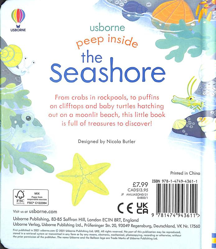 peep inside the seashore - Ảnh 7