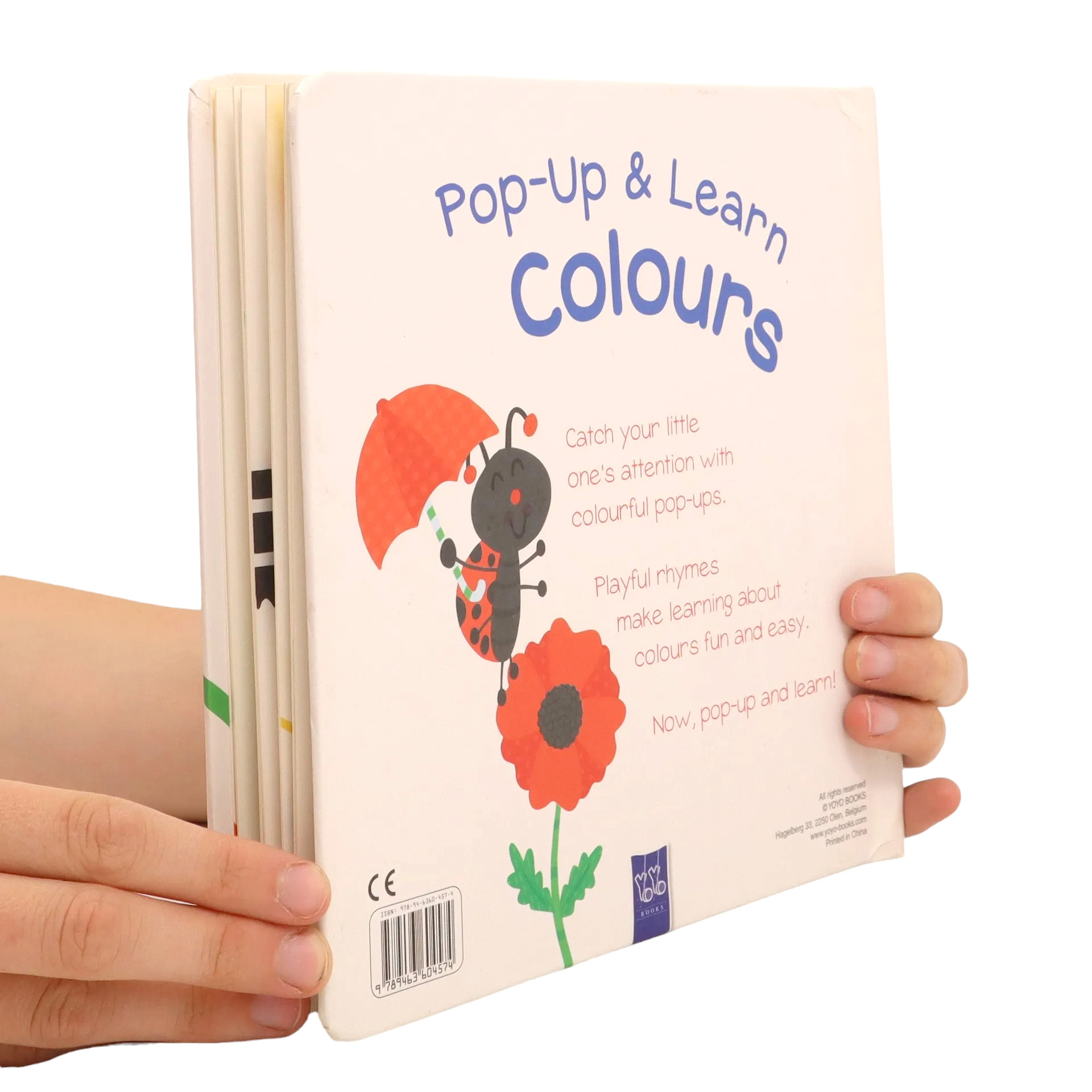 pop-up & learn - colours - Ảnh 5