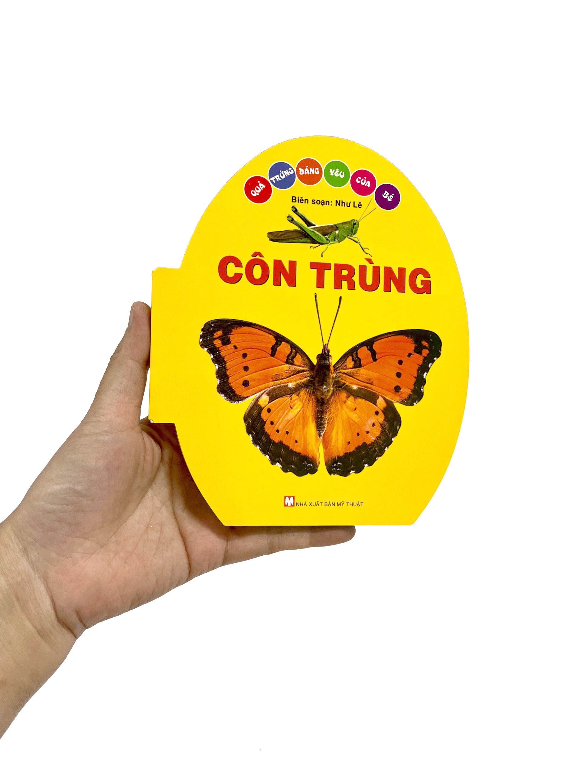 quả trứng đáng yêu của bé - côn trùng - Ảnh 6
