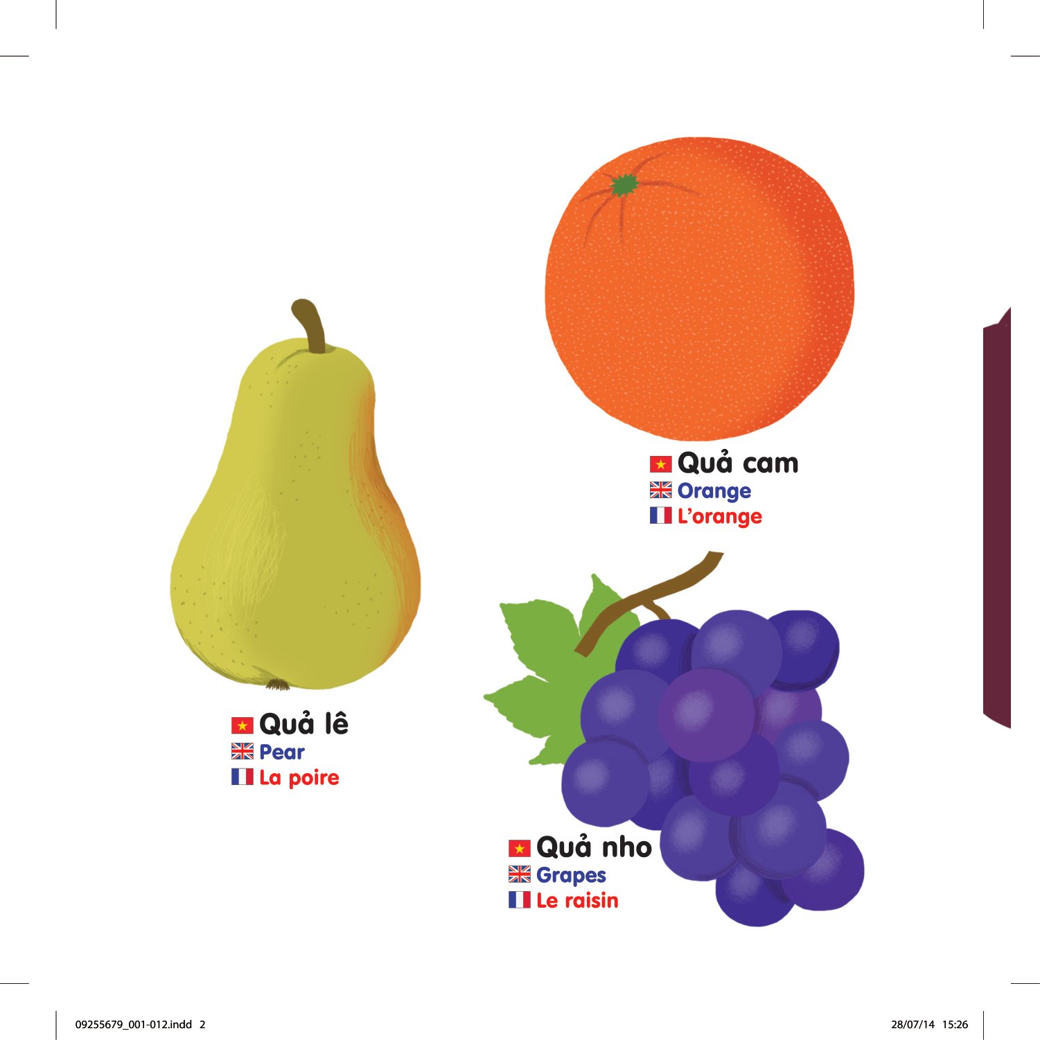 sách chuyển động thông minh đa ngữ việt - anh - pháp: các loại hoa quả - fruits - les fruits (tái bản) - Ảnh 2