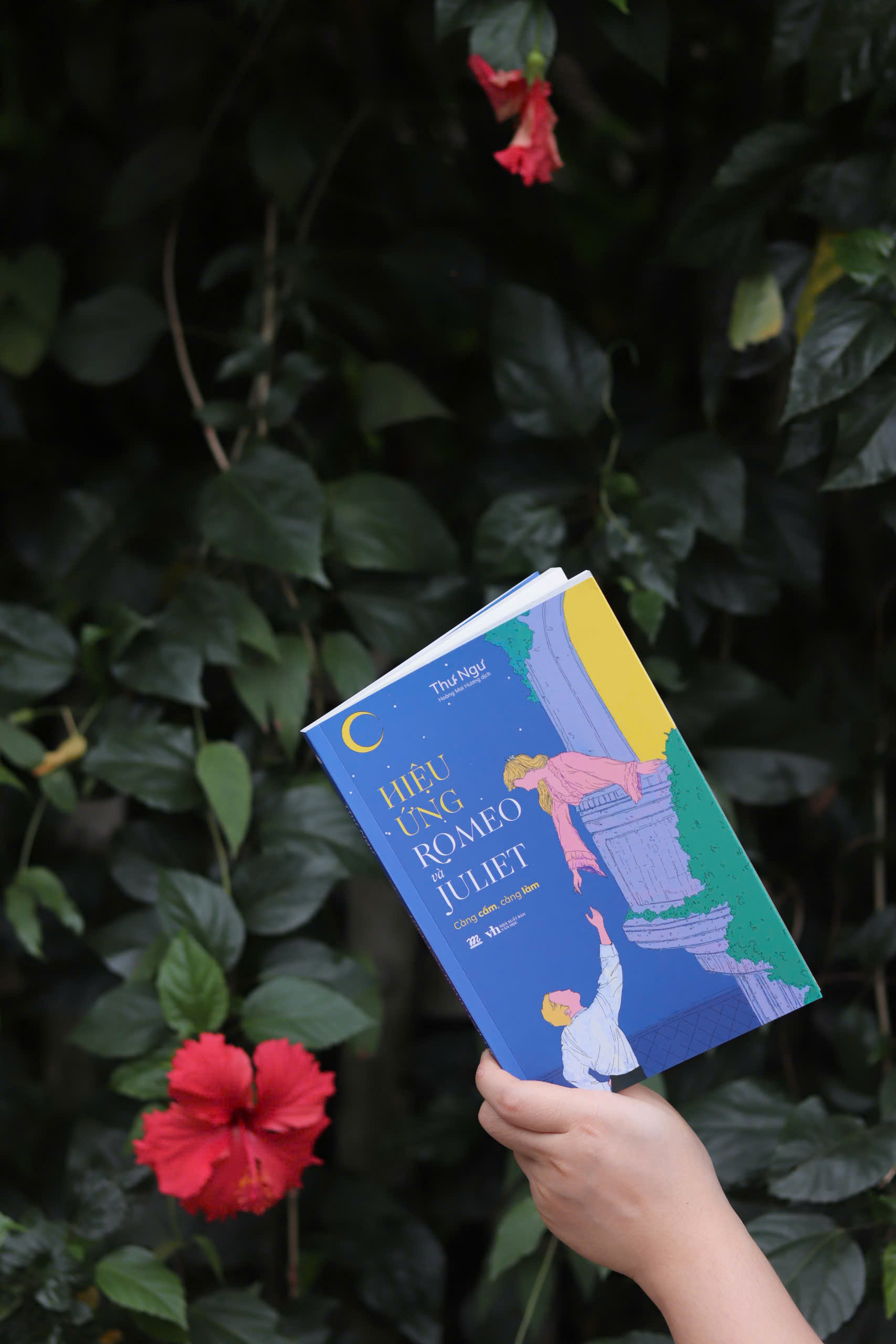 [Sách Đồng Giá 40K] Hiệu Ứng Romeo Và Juliet - Ảnh 3