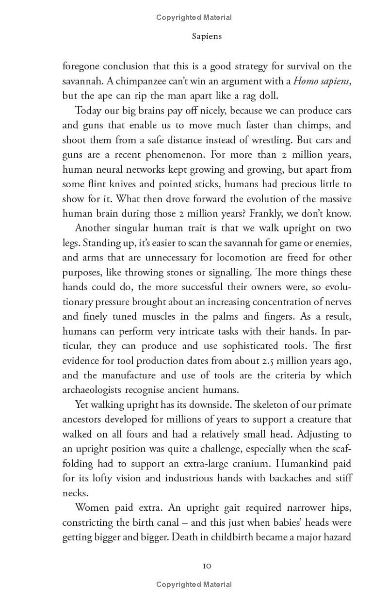 sapiens - a brief history of humankind (10 year anniversary edition) - Ảnh 20