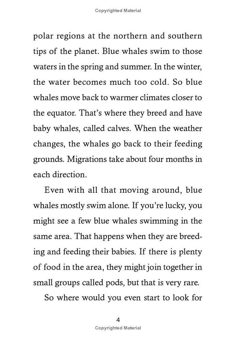 save the...blue whales - Ảnh 13