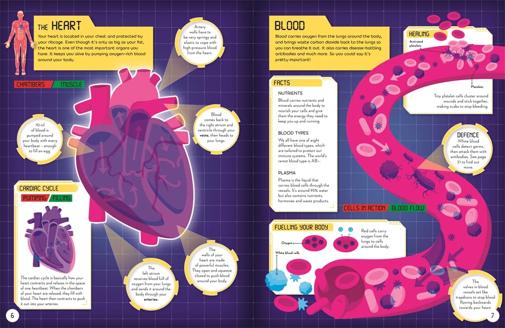 secrets of the human body - Ảnh 5