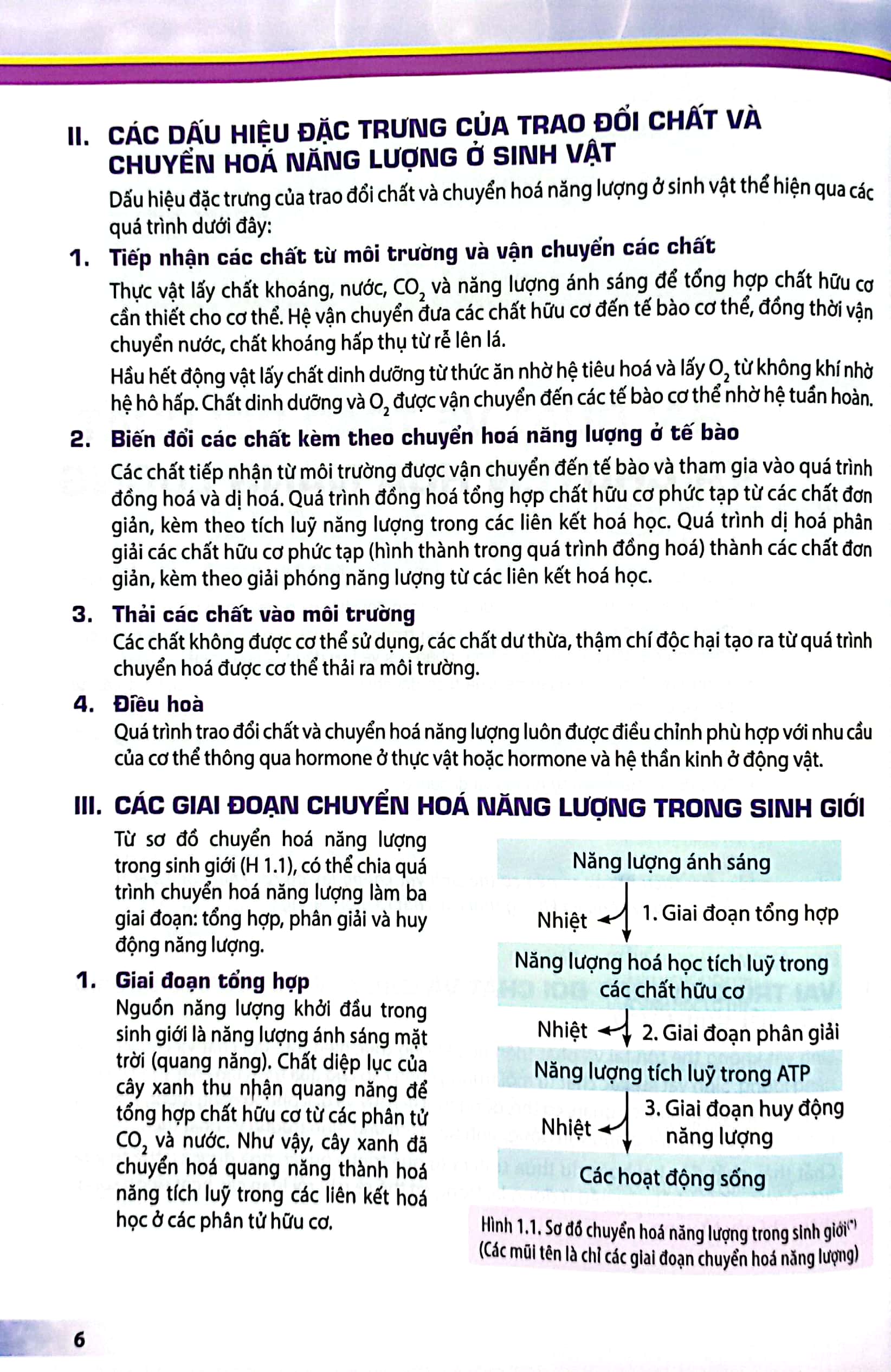 sinh học 11 (kết nối tri thức) (chuẩn) - Ảnh 5