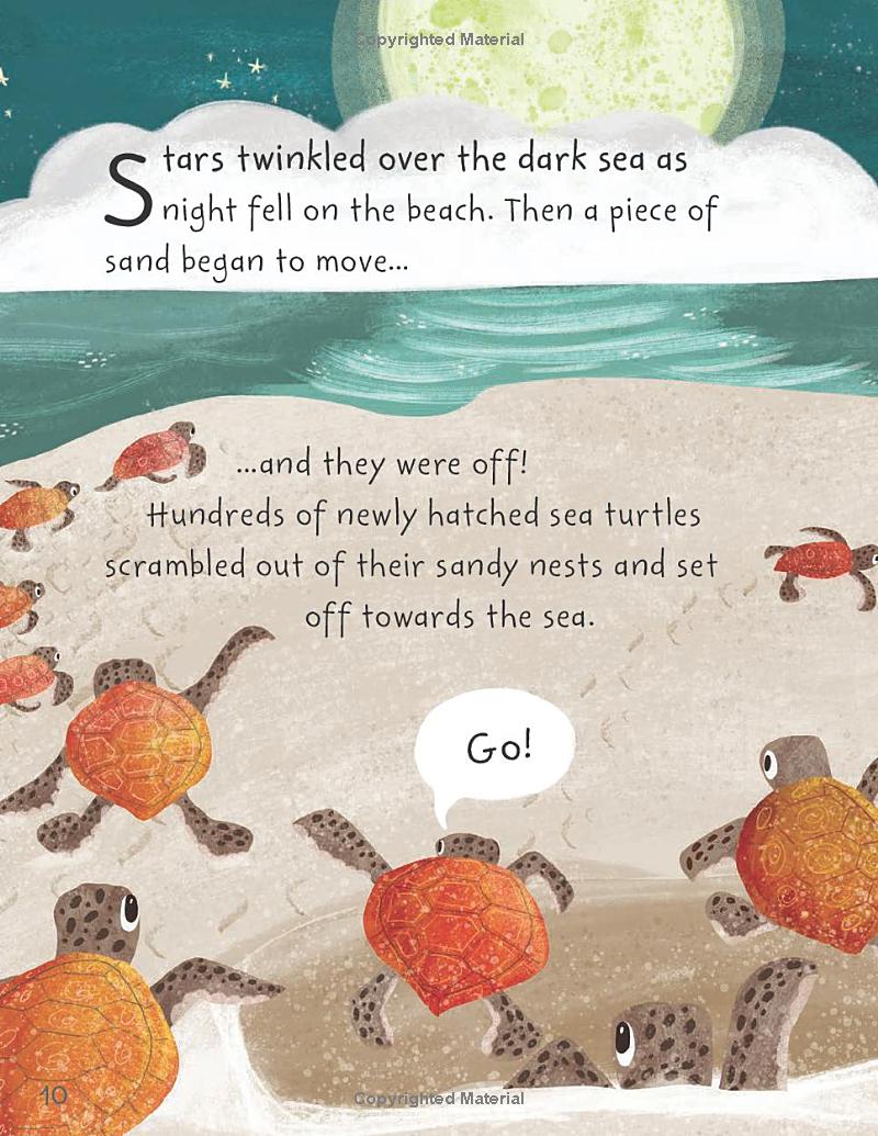 stories from the sea - Ảnh 12