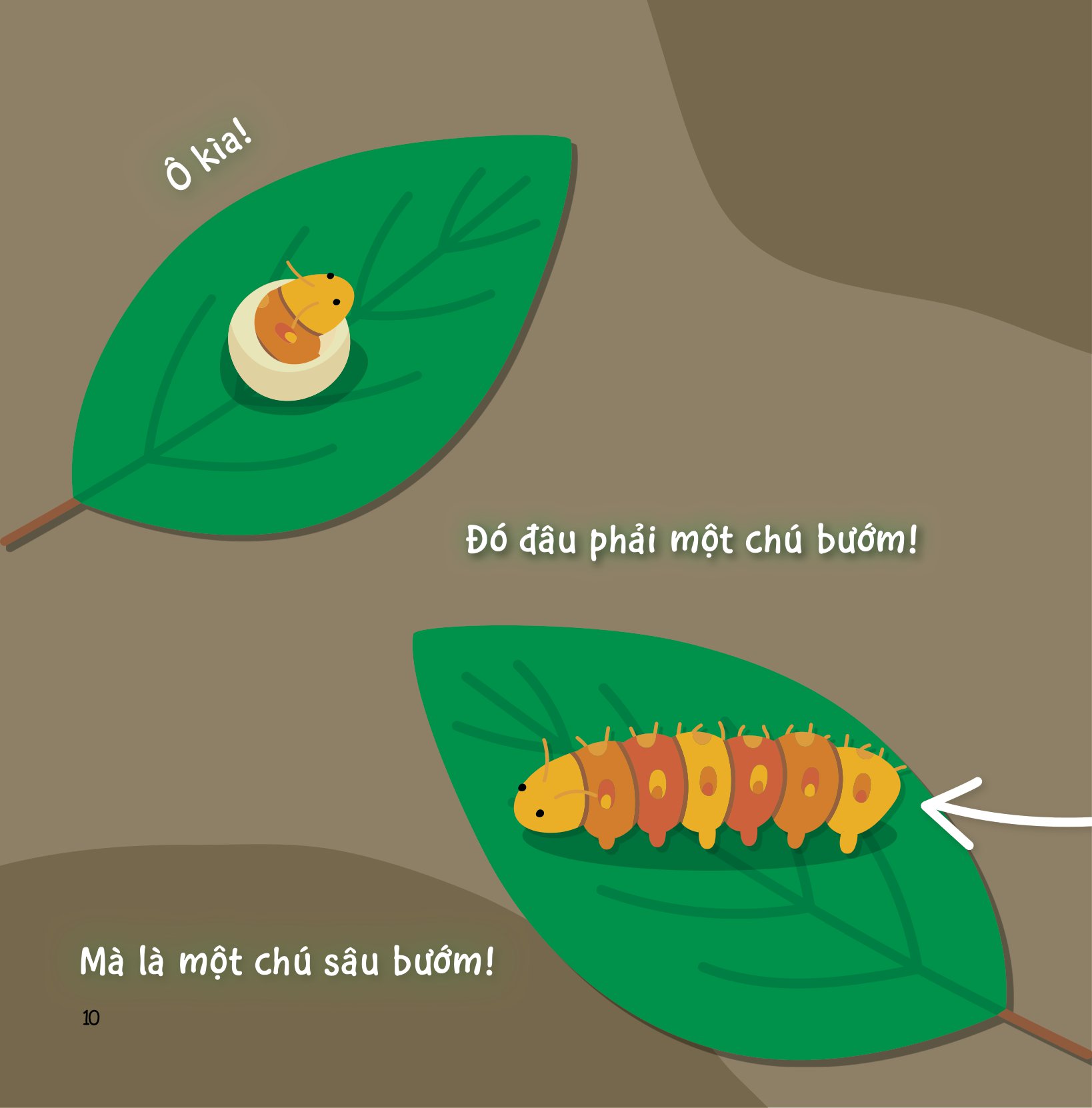sự sinh trưởng kỳ diệu của vạn vật - vòng đời của bướm - Ảnh 9