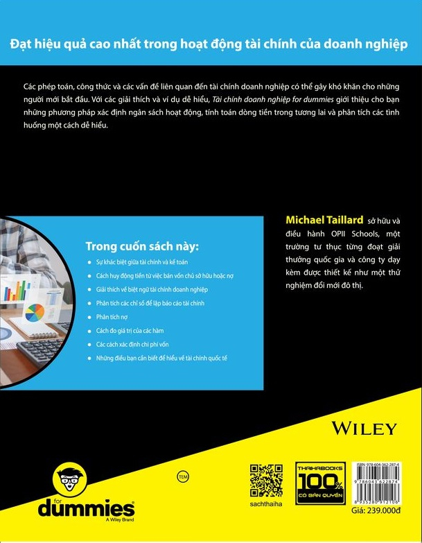tài chính doanh nghiệp for dummies - Ảnh 3