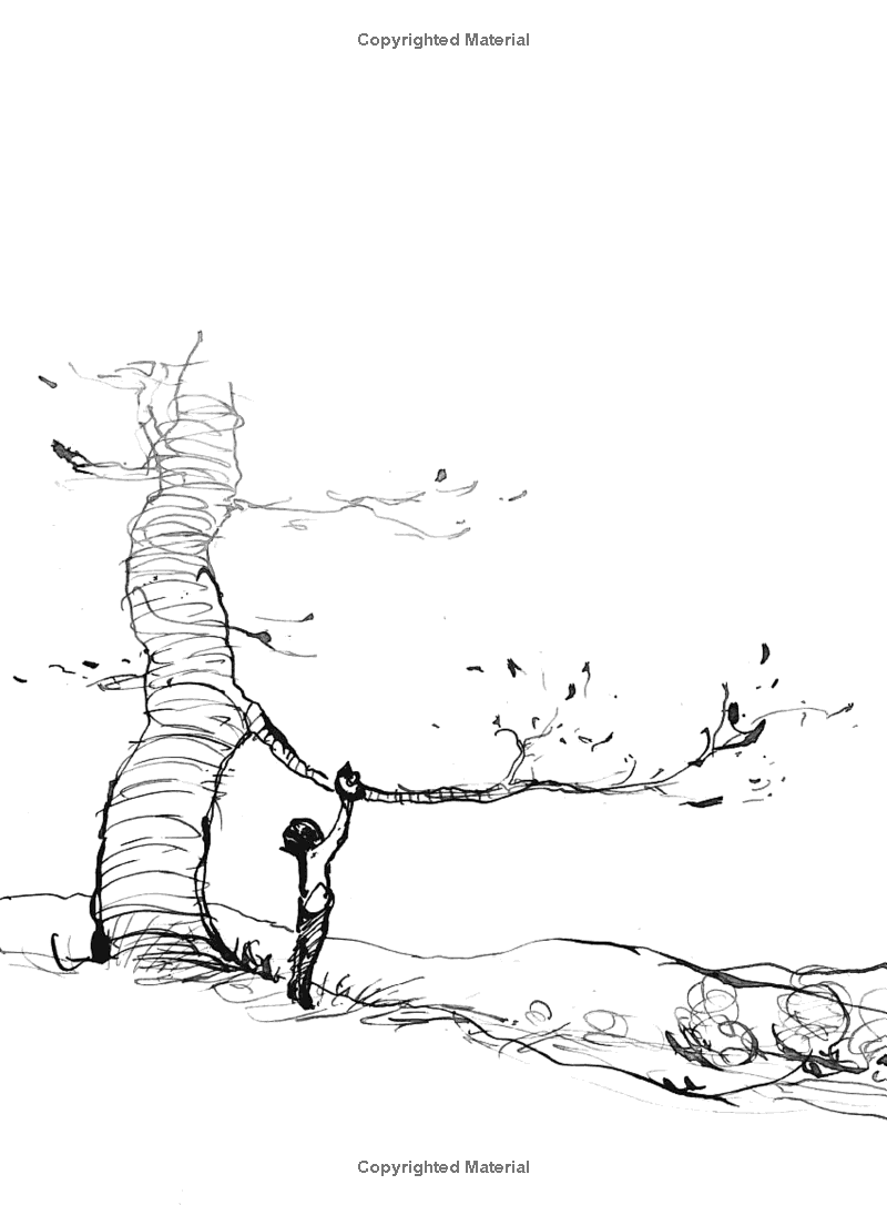 the boy, the mole, the fox and the horse - Ảnh 12