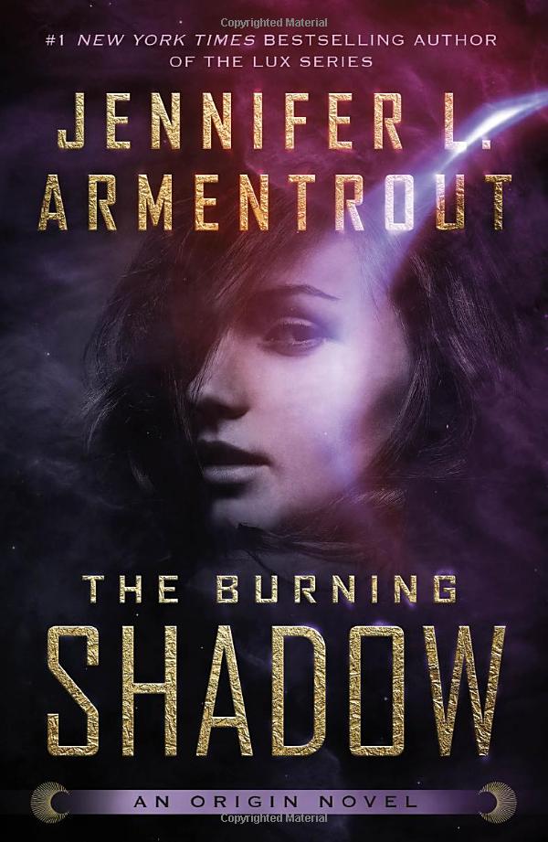 the burning shadow - Ảnh 2