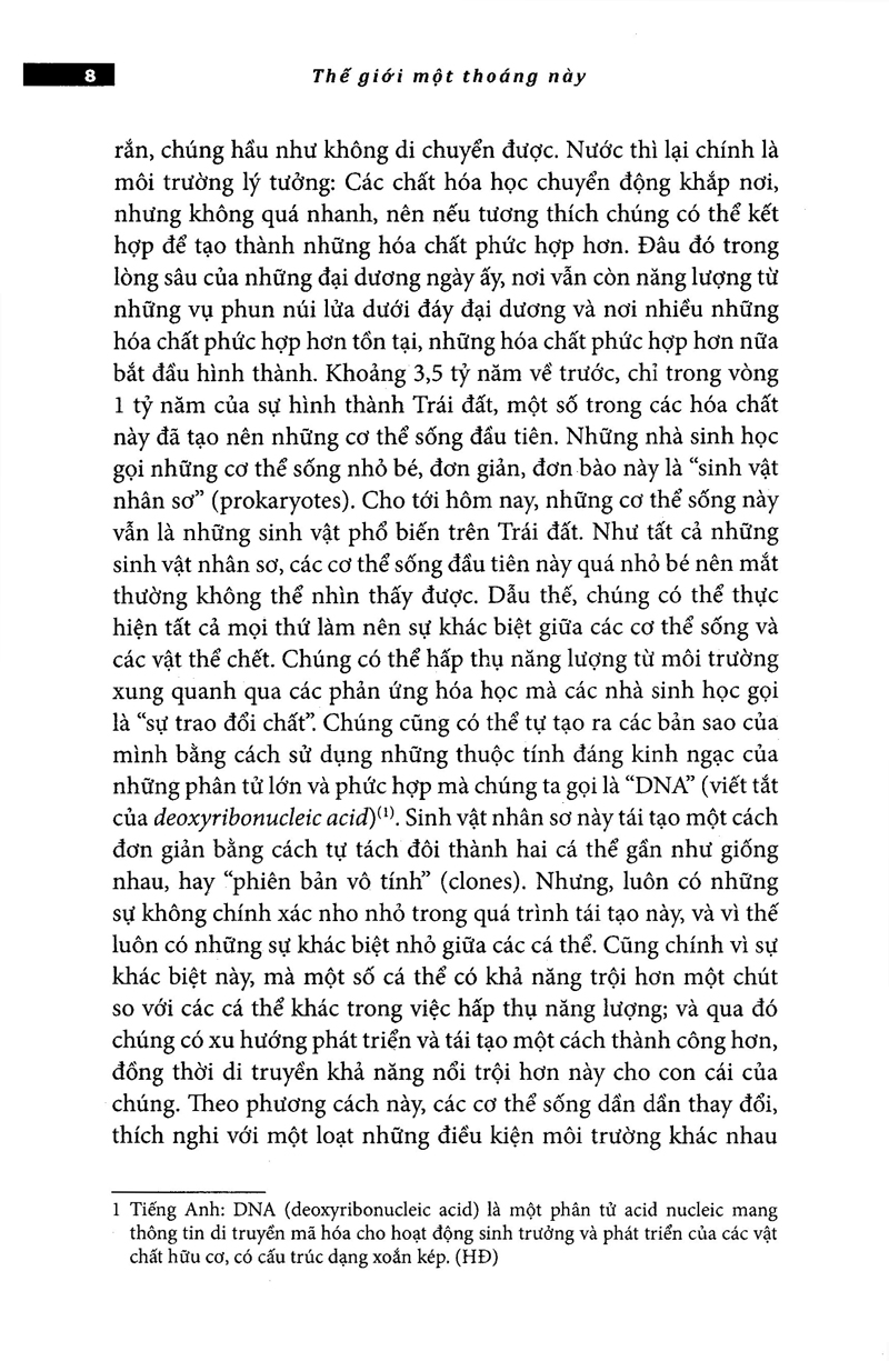 thế giới một thoáng này - Ảnh 25