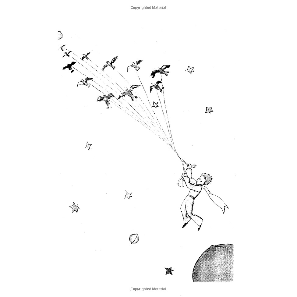 the little prince: and letter to a hostage - Ảnh 3