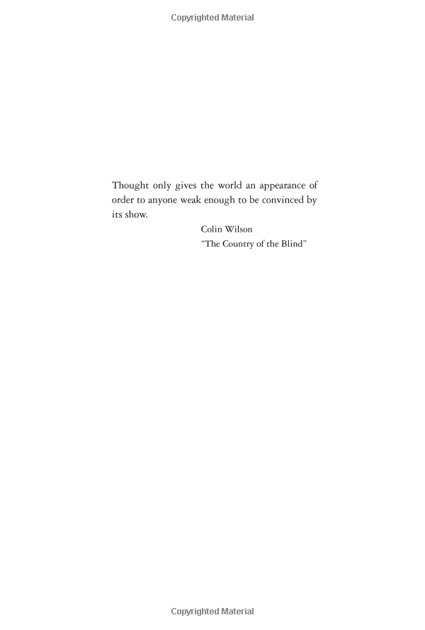 the outsider - Ảnh 2