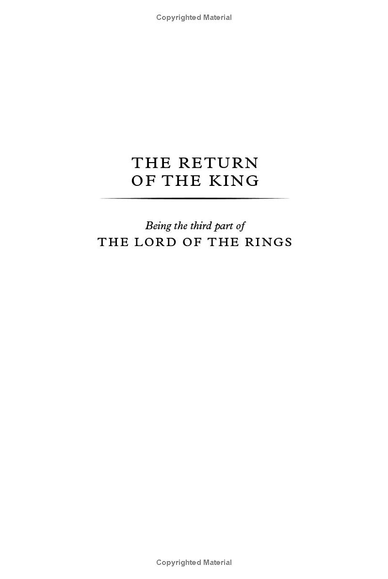 the return of the king - Ảnh 6