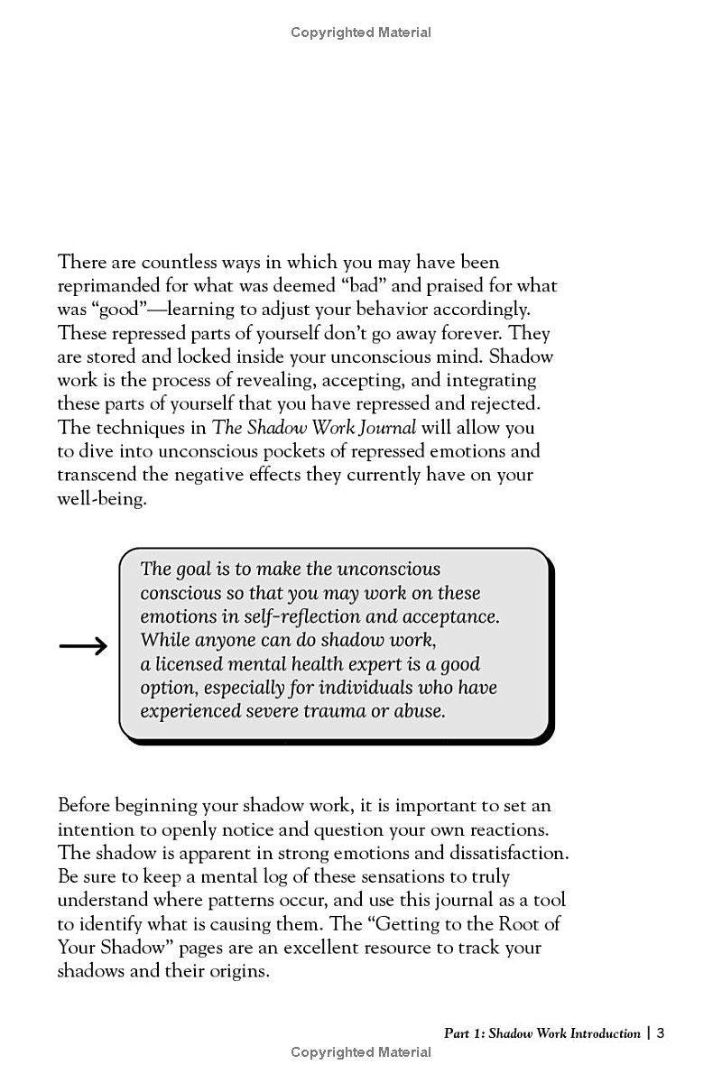 the shadow work journal - Ảnh 5