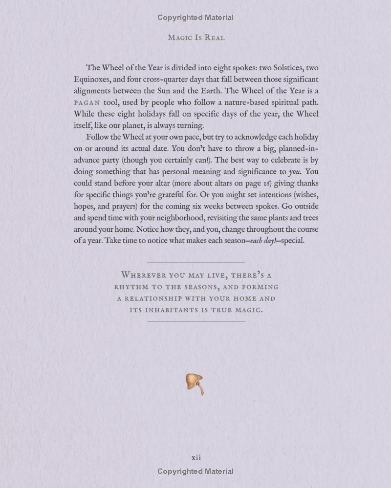 The Wheel Of The Year - An Illustrated Guide To Nature's Rhythms - Ảnh 13
