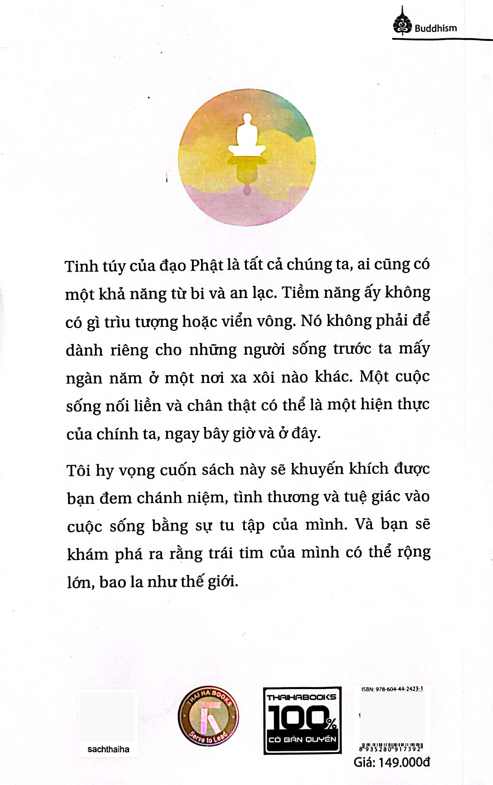 thiền tập - con đường dẫn tới tuệ giác và tâm từ - Ảnh 22